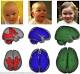 Breast really is best if you want a brainy baby: Just THREE months of ...