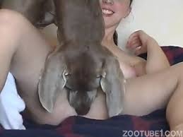 Girl fucks dog jpg x Girl fucks dog