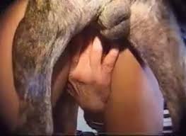 Humans having sex with animals png x Humans having sex with animals