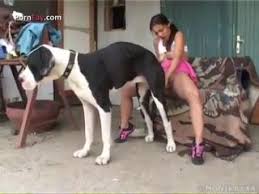 Cute blonde gets manhandled giant dog cock in dog sex video jpg x Big dog fucks girl