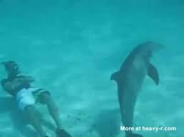 Dolphin zoo sex jpg x Man fucks dolphin