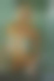 brooke marks uncensored|Brooke Marks Raw Meat Video - Hot Girls And Naked Babes at HottyStop.com