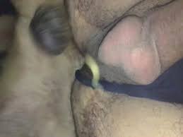 My dog fucks me better than husband zoo porn dog sex zoophilia jpg x Fucking my dog