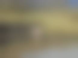 露出　熟女　らむさん|ラムちゃん◎｜海*さんの日誌｜人妻・熟女専門アダルトライブチャット - CHATPIA -