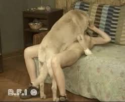 Dog fucking woman hard on all fours jpg x Woman gets fucked by dog