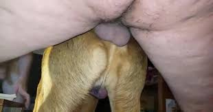 A guy fucks his dog detailed porn video malhvabit peekvids jpg x Guys fucking dogs