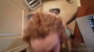 Watch her complete mega folder in description ifrit fansly buttplug porn spankbang jpg x Fullmetal ifrit hardcore