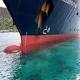 Ship crashes into 'pristine' coral reef, captain may be charged 