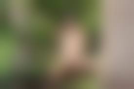 young well hung she males|Free Two Shemales Fuck Guy Porn Videos | xHamster