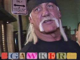 Hulk hogan sues gawker celebrity sex jpg x Hulk hogan sex video