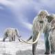 Peter Thiel invested in research effort to resurrect the woolly mammoth 