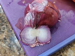 Onion  nude|Winter and snow and naked girl with onion booty photo 01320 – Girls and  Asses