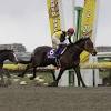 安田記念こそ、エリザベス女王の在位70周年絡みに馬券のサインが ...