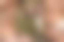 lsbar.jpg4.us  JS 露天風呂 盗撮|JS露天風呂盗撮のエロ動画 2件 - 動画エロタレスト