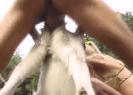 Naughty man makes video on the phone fucking goat zoo porn jpg x Man fucks goat