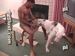 Sex with dogs videos jpg x Sex with dogs videos