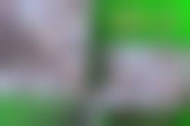 盗撮女風呂|ガチ盗撮!女風呂!特選美乙女!Vol.53・54 素人 - 無料アダルト動画付き（サンプル動画） - 裏DVD・無修正DVD・ストリーミング  無修正DVDハッピー