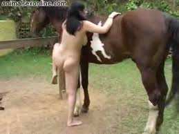 Full video girl first tries the horse sex jpg x Horse fuck girl