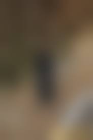 yamiboard 野外露出  54|桜田さくら監督作品 〜羽川るなが黒ギャルになって痴女ります〜 【羽川るな】