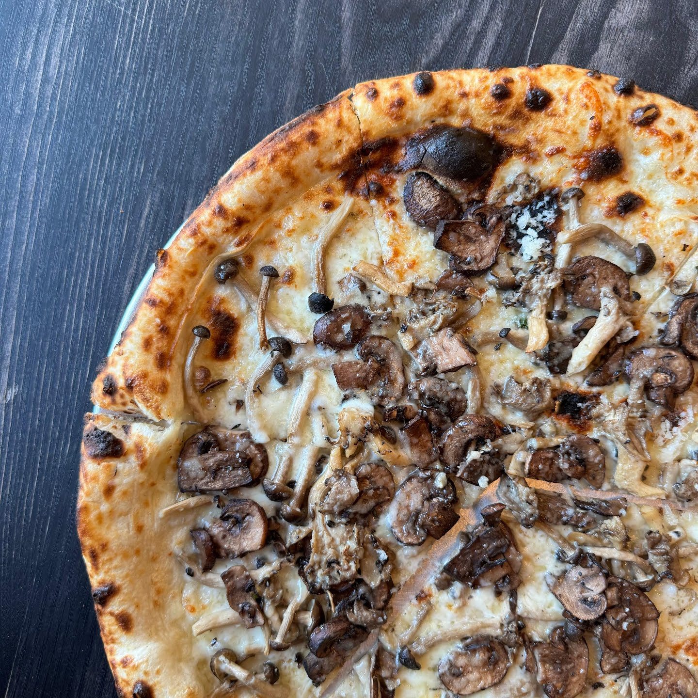 DAMNFiNE pizza by null