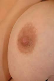 Top big tits small nipples pornstars jpg x Big boobs small nipples