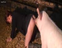 Year old woman fucks a pig zoo porn jpg x Pig fucks