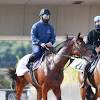 【マイルＣＳ】名手・川田将雅騎手とダノンザキッド逆襲狙う ...