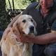 Italy earthquake: Miracle dog found alive in rubble 9 days after quake 