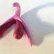 This 3D-printed clitoris model is set to transform sex ed classes in France 