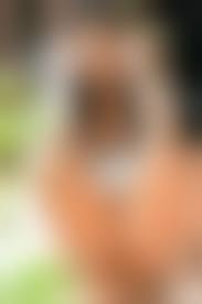 japanese amateur girlfriend outdoor pussy|18 year old beautiful Japanese girl in uniform. Blowjob and creampie sex  outdoors, uncensored watch online