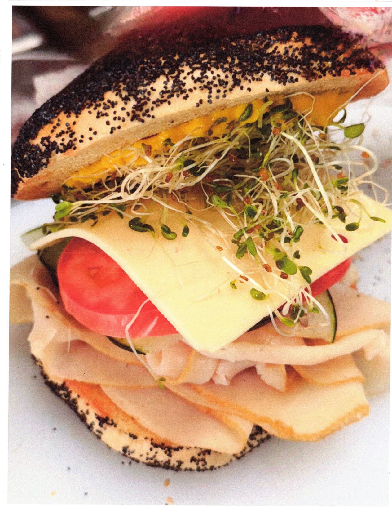 K&L Bagels by null