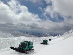 女性　大便　雪上|おもちゃ 工作 簡単てっぽうアヒル | TikTok