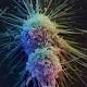 Starving cancer cells may be key to stopping growth, scientists say 