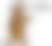 posttome.cc younglust jb avi 22|College Varsity 5 – Crossface Cumdump – Javboys.com