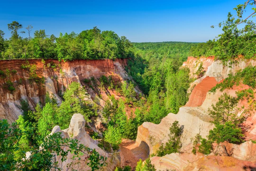 Providence Canyon State Park image