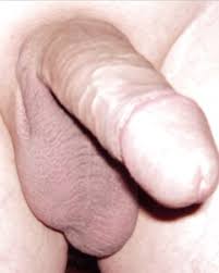 Search oe utf old dick porn isz en safe off udm ec gadaaq jpg x Old dick