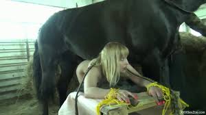 Brutal videos stallion animal tube most popular page jpg x Brutal horse fuck