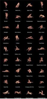 List of sex positions jpg x List of sex positions