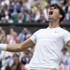 Carlos Alcaraz, Novak Djokovic to meet in Wimbledon men's final