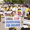 Falun Gong