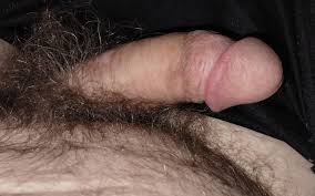 Hairy penis gay porn jpg x Hairy penis