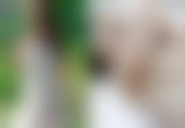 片山萌美  裸芯|裸芯＞片山萌美写真集、巨乳92センチGカップ、TV「ハロー張りネズミ」、手ブラもみほぐし、ノーブラ、尻出し、乳首透けの落札情報詳細 -  Yahoo!オークション落札価格検索 オークフリー