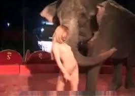 Lustful animal sex porn movies jpg x Animal sex