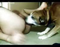 Man fucks female dog after this free bestiality and animal porn jpg x Guy fucks female dog