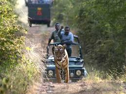 Ranthambore Agra Jaipur Tour, Ranthambhore Wildlife Tour From Delhi, Delhi Hire Car and Driver