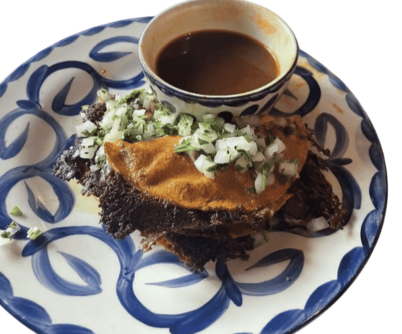 Paloma Suerte by null