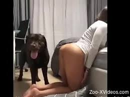 Sexo con perros jpg x Sexo con perros