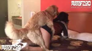 Wives fuck dog porn two playful and animal sexy teens are banging with a dog jpg x Girl fucks dogs