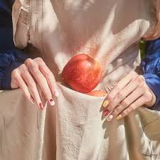 bely shiny flowers nude|今日の一枚 - 摂大薬草園/Today's Pick Up - Setsunan Garden