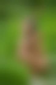 голая прикрывается|Красивая Голая Женщина Ставит Прикрываясь Руками, Изолированных На Белом  Фоне Фотография, картинки, изображения и сток-фотография без роялти. Image  13187828